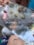 7bd9633c-715b-4c56-86b3-0fbf46cf58b7